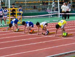 2025 양구 학년별 육상경기대회 개최 사진